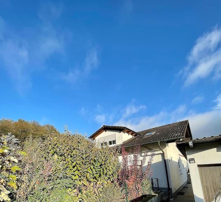 Modernes Apartment Mit Top Ausstattung Und Kamin Im Oberpfaelzer Seenland Nittenau Buitenkant foto